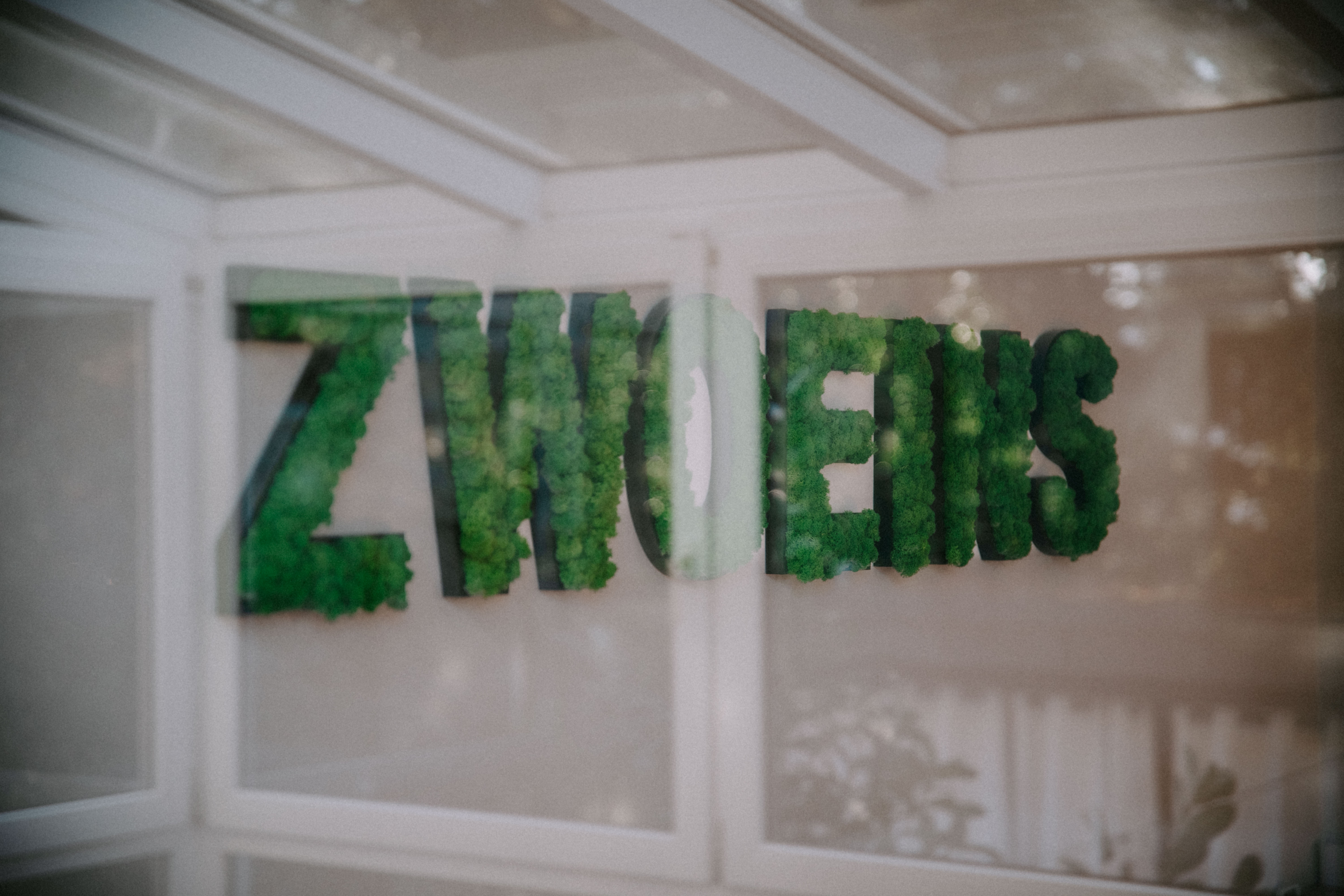 ZWOEINS Logo